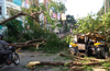 3 injured as huge tree rolls over autorickshaw at Pandeshwar